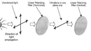 Polarizers work together1